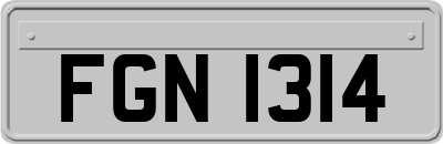 FGN1314