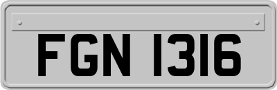 FGN1316