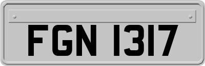 FGN1317