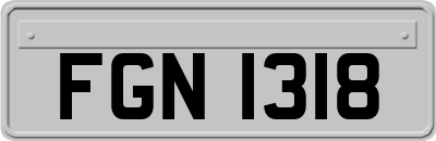 FGN1318