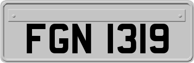 FGN1319