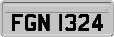 FGN1324