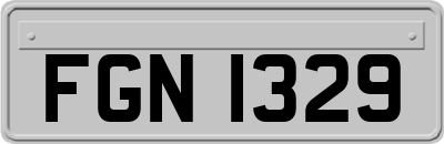 FGN1329