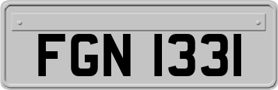 FGN1331