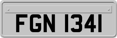 FGN1341