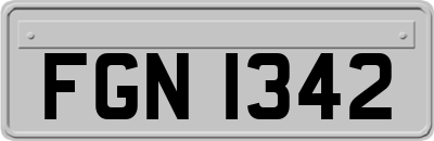 FGN1342