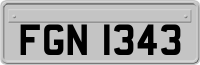FGN1343