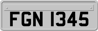 FGN1345