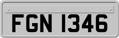 FGN1346