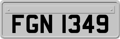 FGN1349