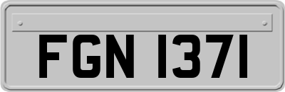FGN1371