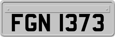FGN1373