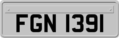 FGN1391