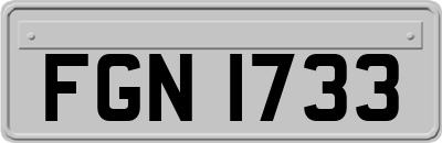 FGN1733