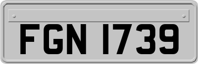 FGN1739