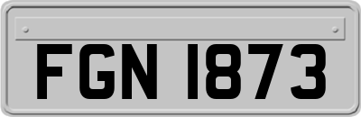 FGN1873