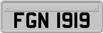 FGN1919