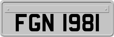 FGN1981