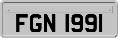 FGN1991