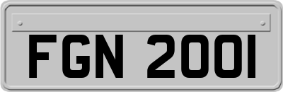 FGN2001