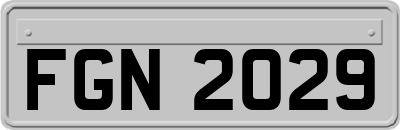 FGN2029