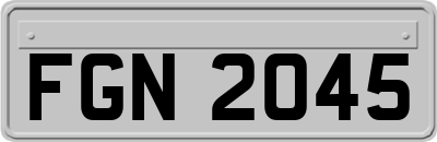FGN2045