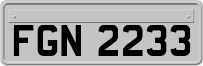 FGN2233