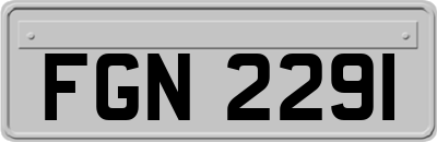 FGN2291
