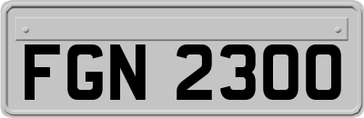 FGN2300