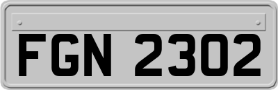 FGN2302