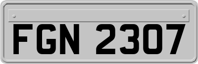 FGN2307