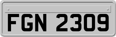 FGN2309