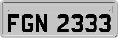 FGN2333