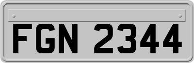 FGN2344