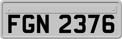 FGN2376