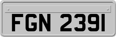 FGN2391