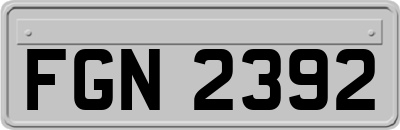 FGN2392