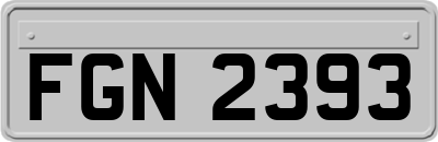 FGN2393