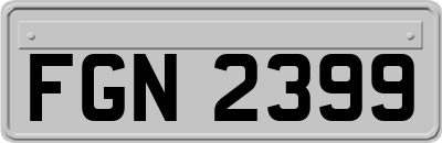 FGN2399