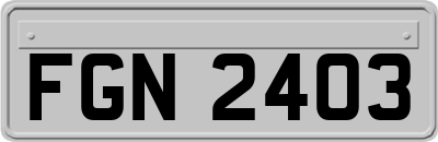 FGN2403