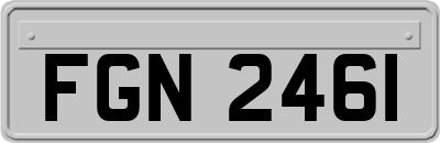 FGN2461