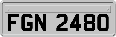 FGN2480