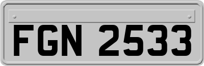FGN2533