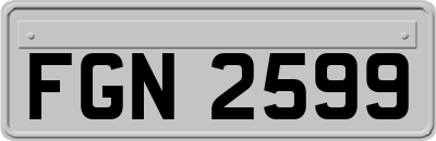 FGN2599