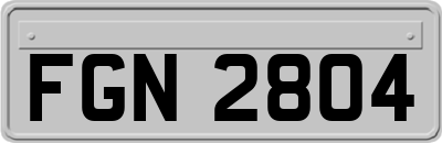 FGN2804