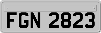 FGN2823