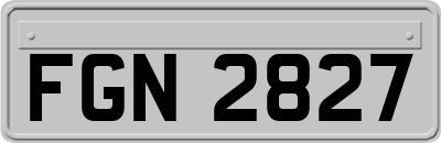 FGN2827