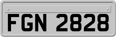 FGN2828