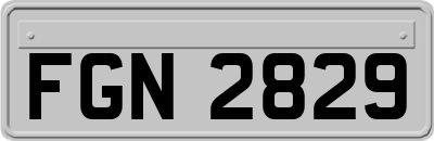 FGN2829