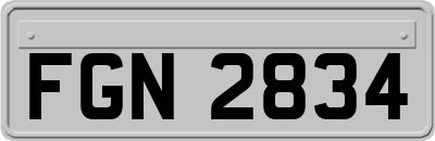 FGN2834